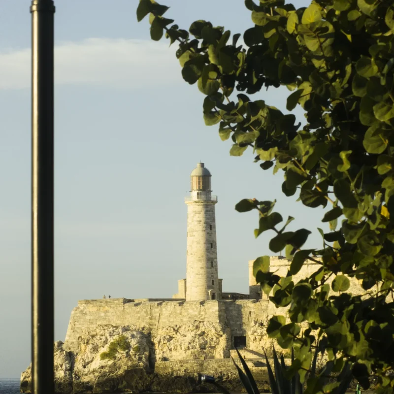 2025-01-07 01꞉13 5